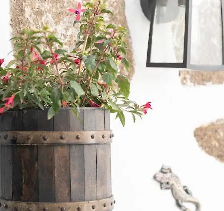 Casa El Terrero Gáldar